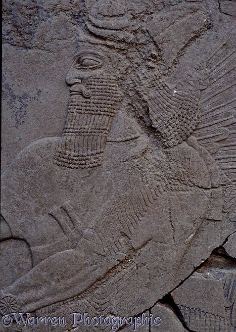 Ancient Assyria: alabaster carving from the palace of King Ashur Nasipal II at Nimrud, Iraq