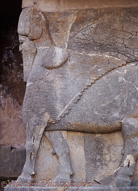 Ancient Assyria: human headed bull guarding the doorway to the palace of King Ashur Nasipal II at Nimrud, Iraq