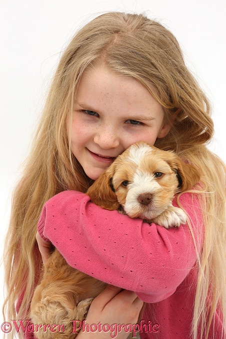 Girl holding Cockapoo puppy, white background