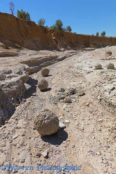Mud balls in dried up river bed. Altyn Emel National Park.  Kazakhstan