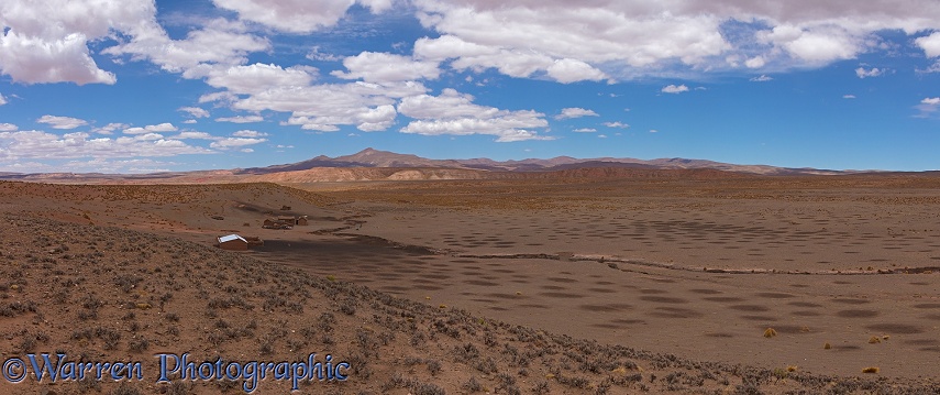 Barren landscape of the High Altiplano, dotted with Llama dung piles.  Bolivia