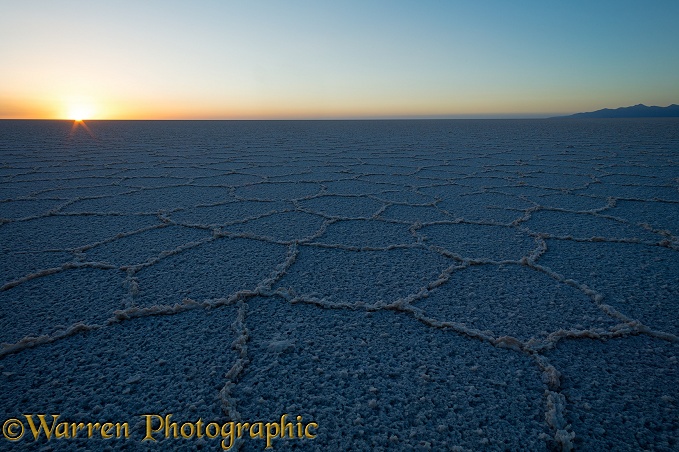 Polygon formations on surface of Salar de Uyuni Salt Pan.  Bolivia