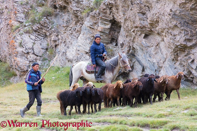 Shepherd boys at Tash Rabat.  Kyrgyzstan