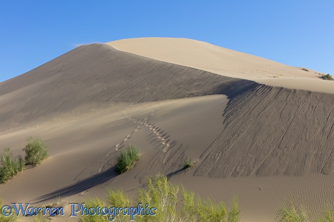 Singing Sand Dunes, Altyn Emel National Park, Kazakhstan