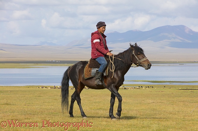 Horseman by Song Kul Lake, Kyrgyzstan