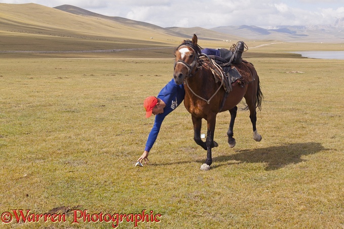 Horse rider trying to pick up money from the ground, as he canters past.  Song Kul Lake, Kyrgyzstan