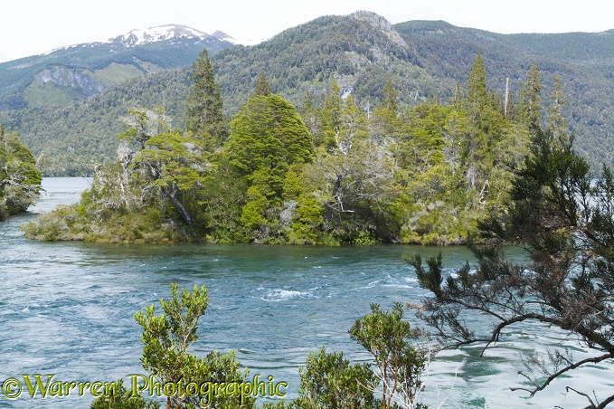 Small forested island in river, Los Alerces National Park, Argentina
