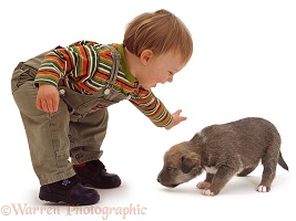 Toddler with little puppy