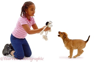 Girl playing with a puppy