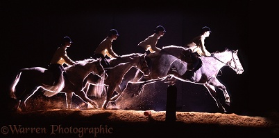 Multiple image of Welsh Pony jumping