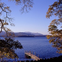 Autumnal trees and lake