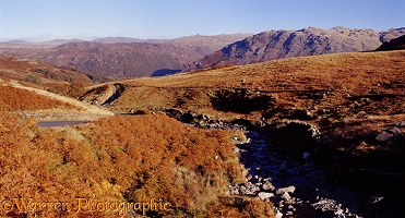 Lake District scene