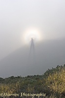 Brocken spectre