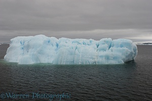 Iceberg