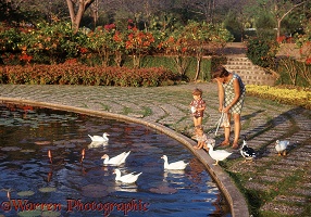 Mother and children feeding ducks