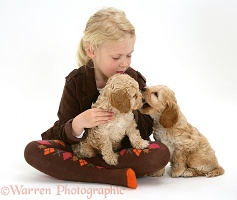Girl with Cockapoo puppies