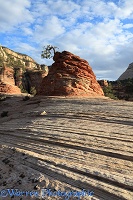 Patterns in sandstone rock strata