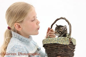Girl with a cute tabby kitten in a basket