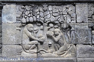 Borobudur Mahayana Buddhist monument