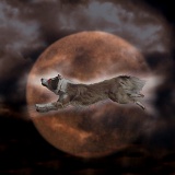 Ghost dog racing across the moon