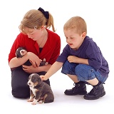 Children Choosing a puppy