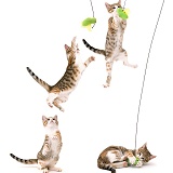 Cat catching a toy multiple image