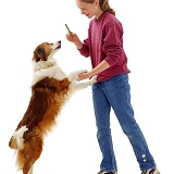 Girl with Border Collie