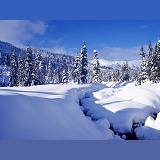 Snow scene at Hemlock Valley