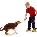 Boy and dog