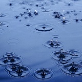 Rain drops on water