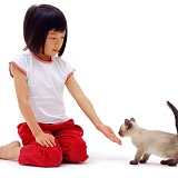 Oriental girl with kitten sniffing her hand