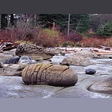 Dinosaur egg rock