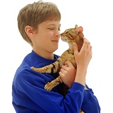 Boy and cat touching noses