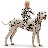 Baby girl riding a Dalmatian