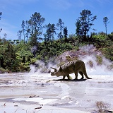 Triceratops in geyser scenery