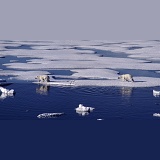 Polar Bears on ice floe