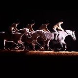 Multiple image of Welsh Pony at fast canter