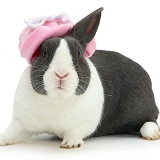 Rabbit in pink hat