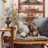 Kittens and teddy on a chair