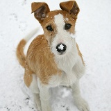 Lurcher in the snow