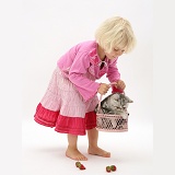 Little girl with silver Exotic cat in a basket