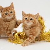 Red tabby kittens with tinsel