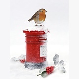 Robin and postbox