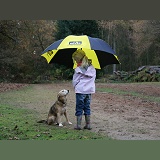 Girl with dog and umbrella