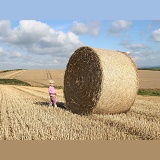 Little girl with roly-poly bale