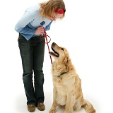 Girl and Golden Retriever