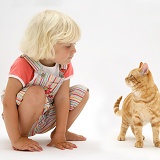Little girl and ginger cat