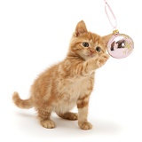 Red tabby kitten playing with a Christmas bauble