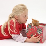 Girl with ginger kitten in a box