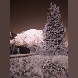 Mount Rainier photographed in near infrared